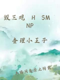 毁三观 H SM NP