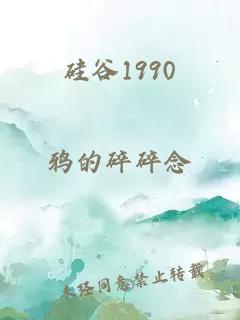 硅谷1990