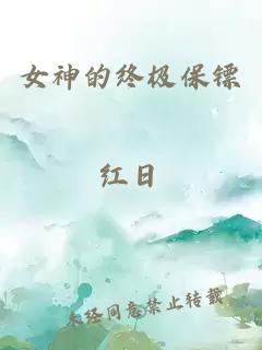 女神的终极保镖