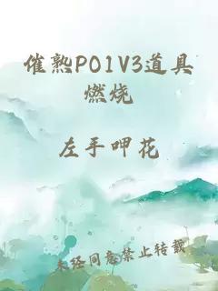 催熟PO1V3道具燃烧