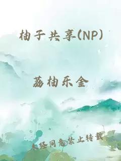 柚子共享(NP)