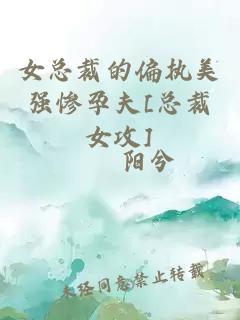 女总裁的偏执美强惨孕夫[总裁女攻]