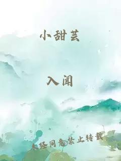 小甜芸