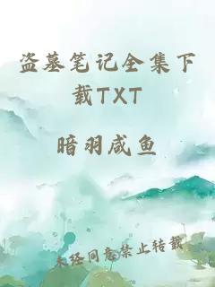 盗墓笔记全集下载TXT