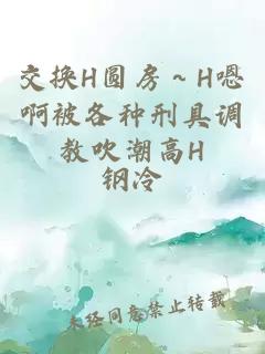 交换H圆房～H嗯啊被各种刑具调教吹潮高H