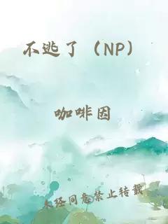 不逃了（NP）