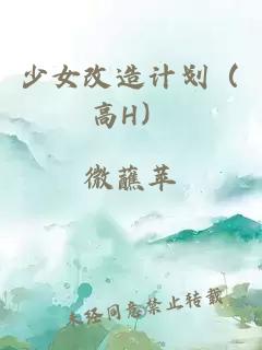 少女改造计划（高H）