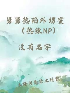 舅舅热陷外甥蜜茓（热辣NP）