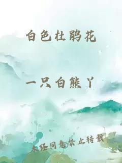 白色杜鹃花