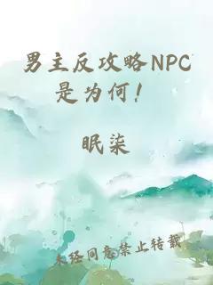 男主反攻略NPC是为何！