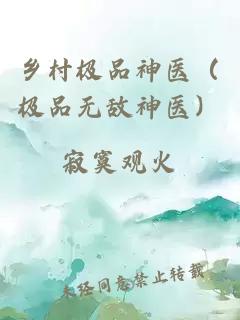 乡村极品神医（极品无敌神医）