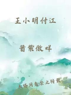 王小明付江