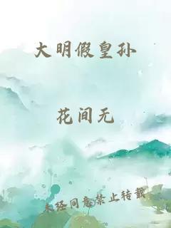 大明假皇孙