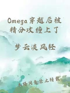 Omega穿越后被精分攻缠上了