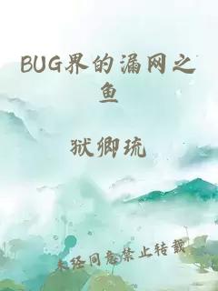 BUG界的漏网之鱼