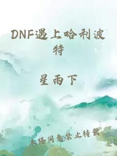 DNF遇上哈利波特