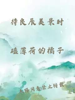 待良辰美景时