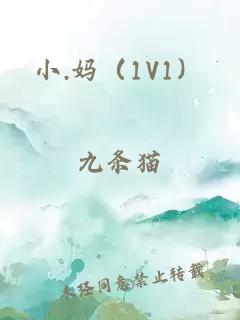 小.妈（1V1）