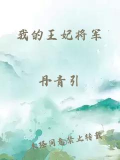 我的王妃将军