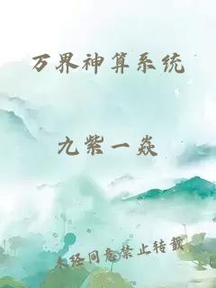 万界神算系统