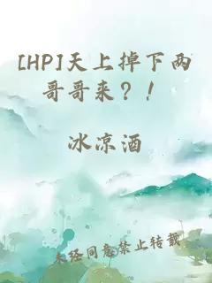 [HP]天上掉下两哥哥来？！