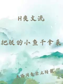 H爽文流